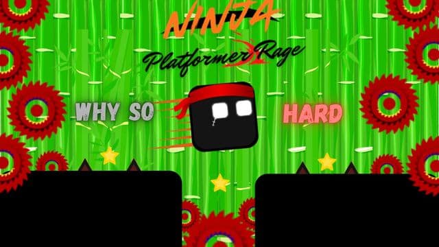 Ninja Platformer Rage