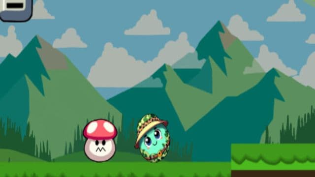 Forest Adventure