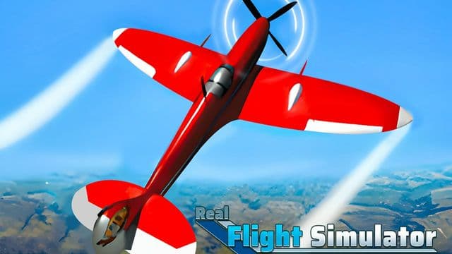 Real Flight Simulator