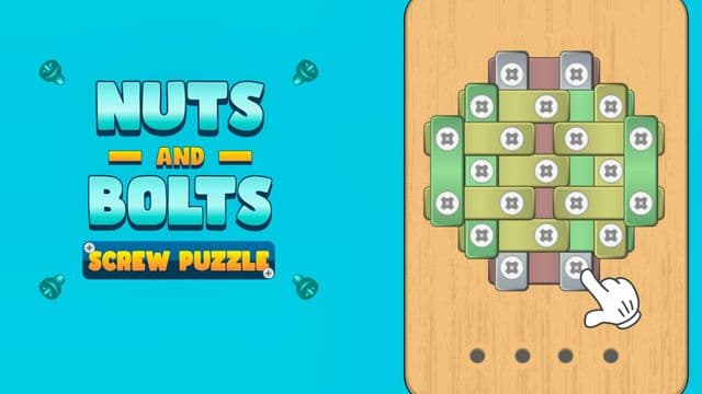 Nuts and Bolts: Screw Puzzle