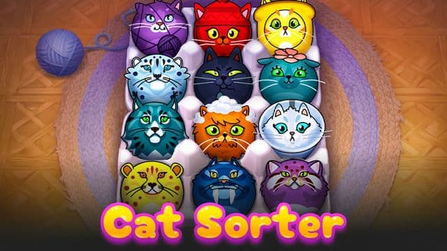 CatSorter Puzzle